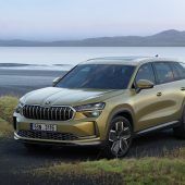 Skoda-Modelle im Fokus