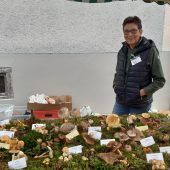 Faszination für Pilze