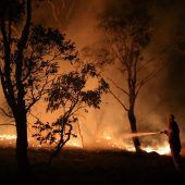 Buschfeuer in Australien außer Kontrolle: Hunderte evakuiert