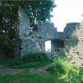 Aktionstag Ausforstung auf der Burgruine