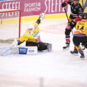 Pioneers holen Punkt statt Sieg