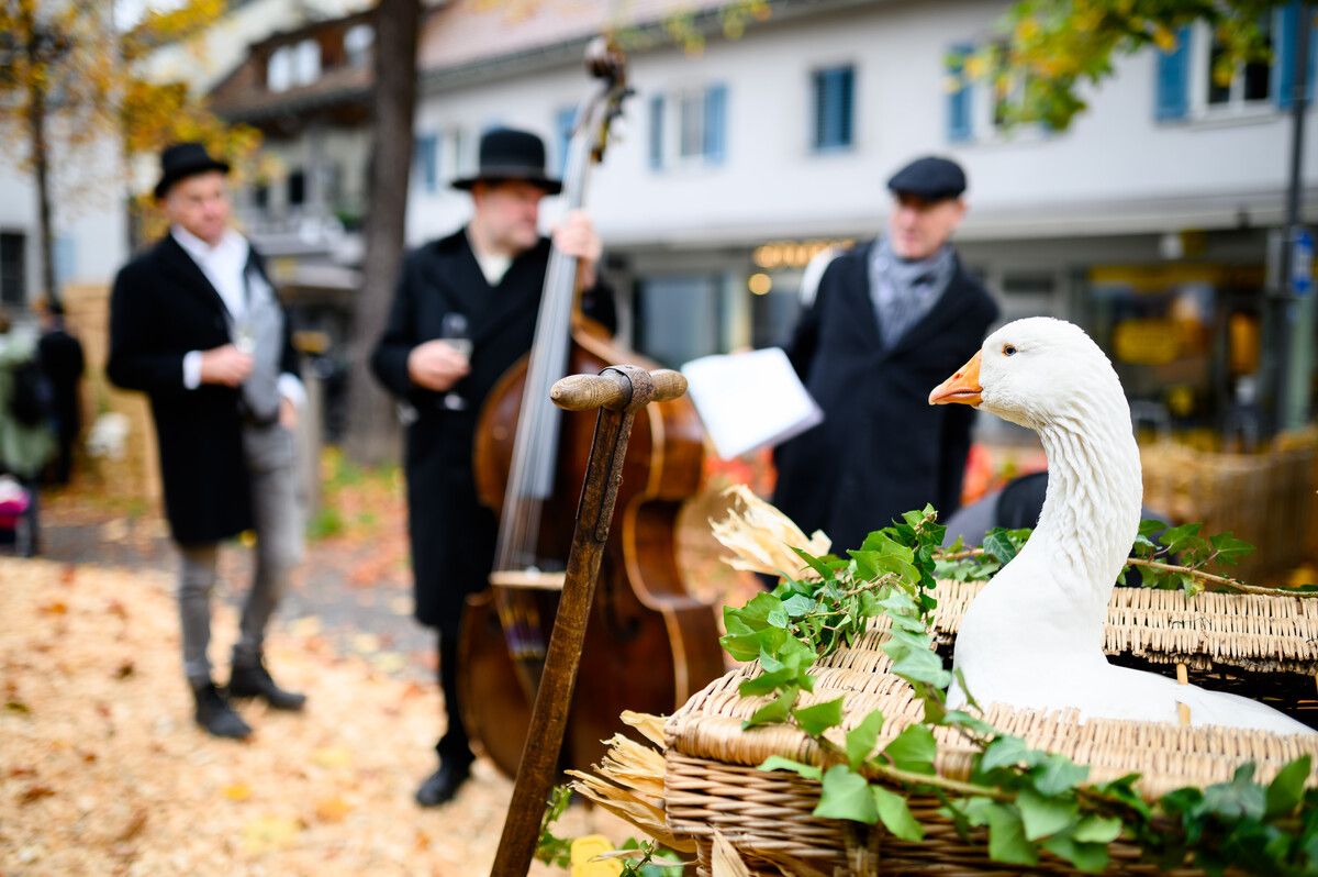 Die Eröffnung des Martinimarkts mit Ganter Eduard findet am heutigen Freitagvormitag vor dem Roten Haus statt.Stadt