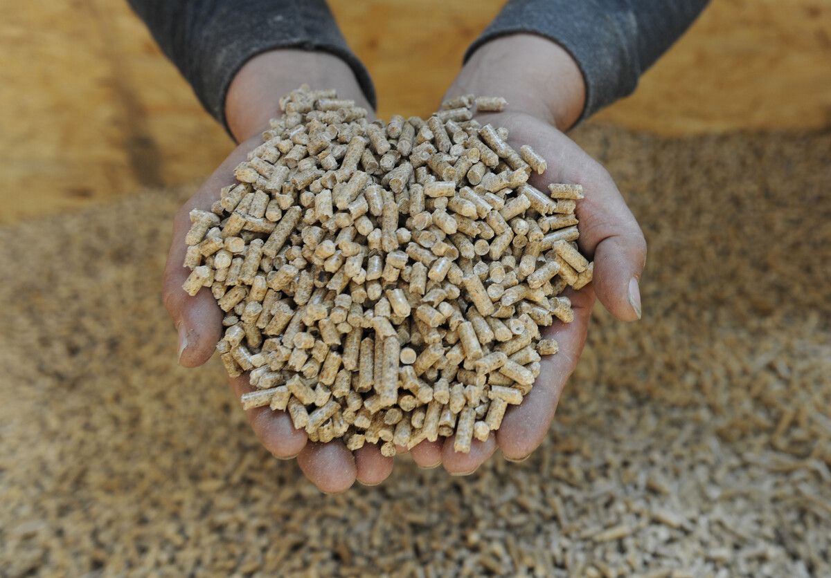 Die fertigen Holzpellets stoßen Kohlenmonoxid (CO) aus. AP