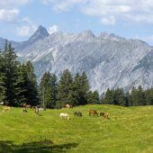 EU-Einigung zur Rettung der Natur
