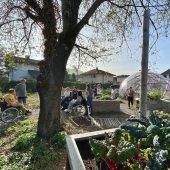 Barrierefrei Natur und Garten erleben