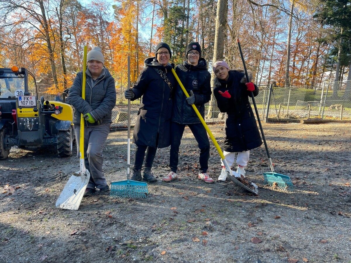 Elena, Sofie, Andrea und Maxi kamen aus Götzis und hatten zügig das Eselgehege entlaubt.