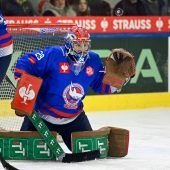 Haie verpassen  Sensation knapp