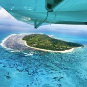 Natur pur auf Denis Island