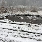 Torfabbau für Moorbäder in Bad Reuthe ruft Naturschutz auf den Plan. »A3