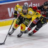 Knappe Niederlage der Pioneers