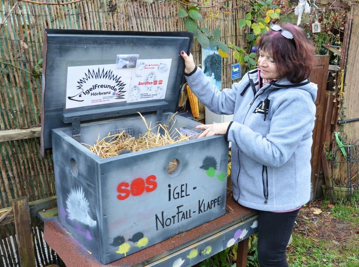 Jeden Tag schaut Adele Dornig nach, ob ein Tier in der SOS-Igelnotfallklappe liegt.hrj (4)