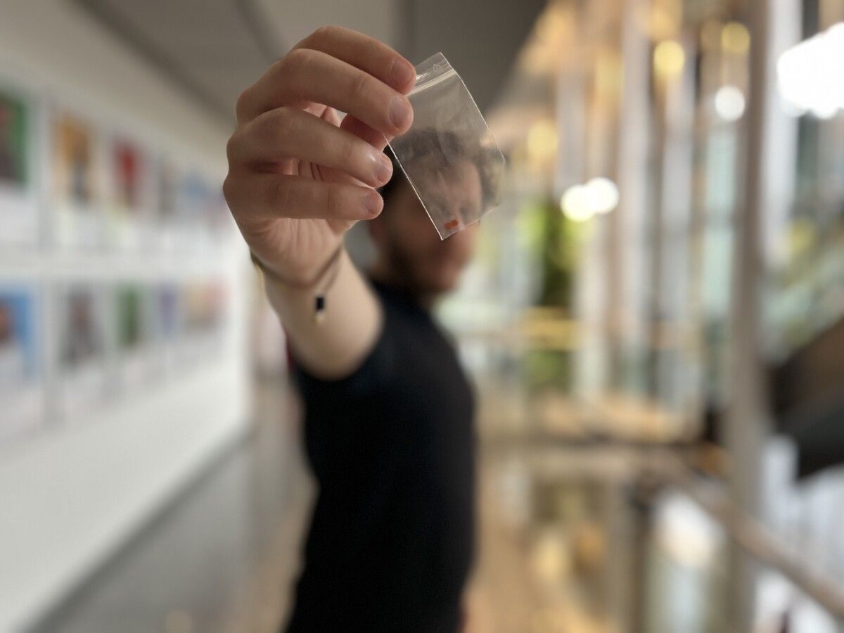 LSD ist an sich verboten. In Deutschland und Österreich ist es tatsächlich ein „an sich“. VN/MAIER