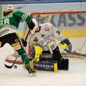 Die Tiger krallten sich  auch die Eisbären