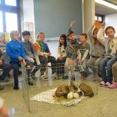 Flauschiger Besuch an der Volksschule Rotkreuz
