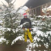 Weihnachtsbäume vom Sunnahof Göfis