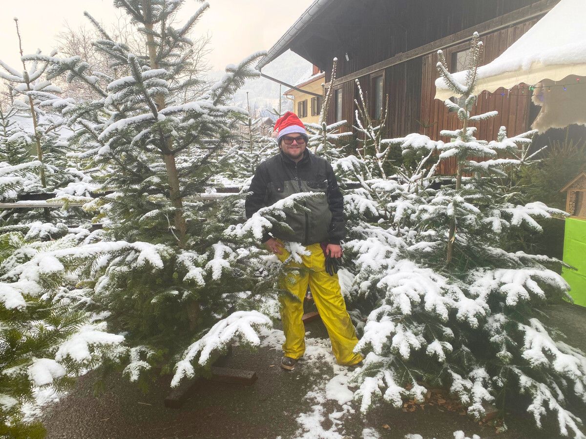 Ab heute kann der Weihnachtsbaum auch am Sunnahof gekauft werden.lebenshilfe