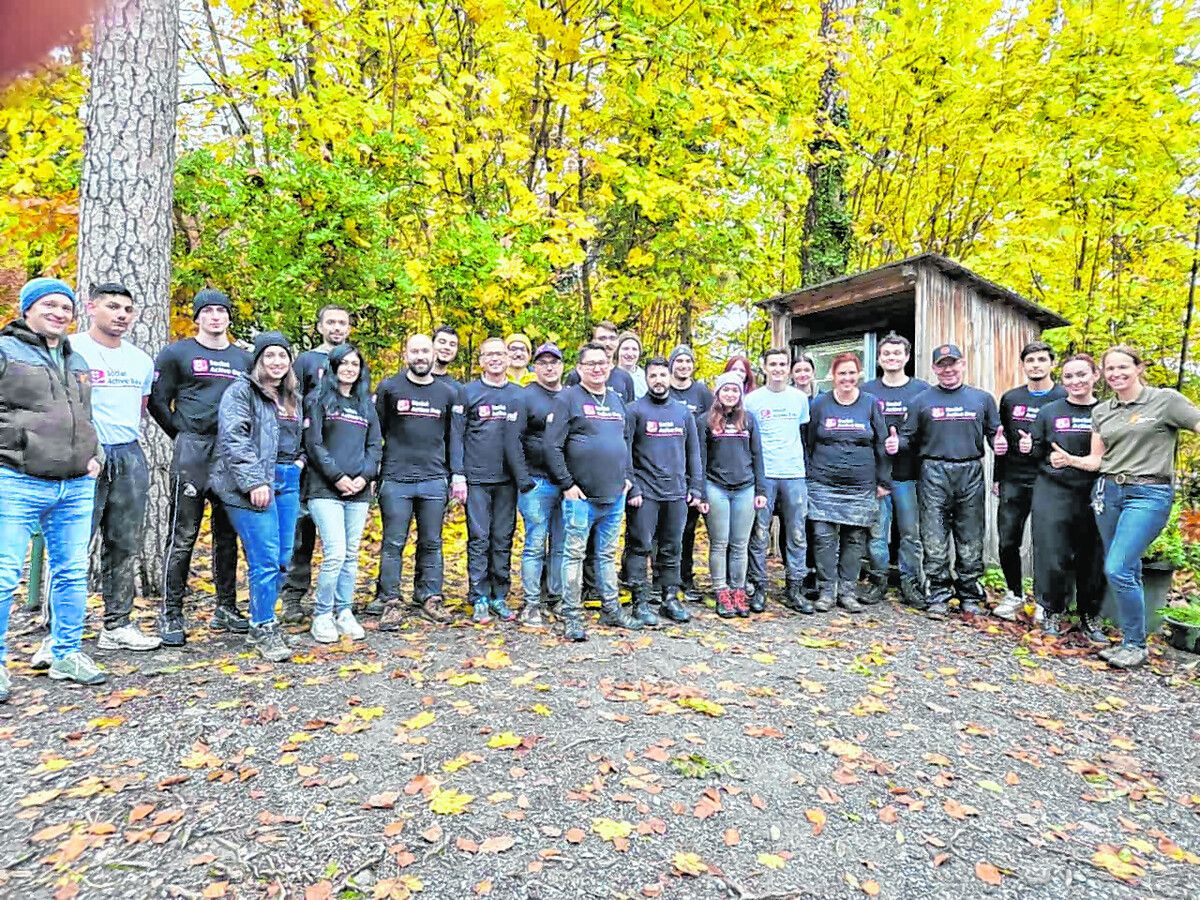 Das Team der Wiener Städtischen Versicherung aus Feldkirch besuchte den Wildpark Feldkirch, um bei der Beseitigung des herbstlichen Laubs zu helfen.Wildpark Feldkirch