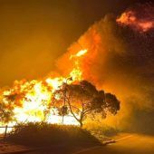 Sorge in Australien vor neuem „Schwarzen Sommer“ wächst