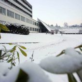 SPÖ-Forderung nach Primärversorgungseinheit