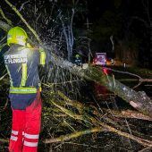 Sturmtief forderte ein Todesopfer