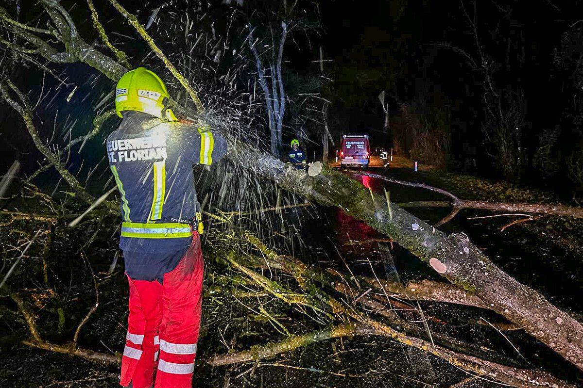Feuerwehren standen im Einsatz, um umgestürzte Bäume zu beseitigen. apa, reichör