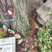 Schneise der Verwüstung durch Friedhof in Bregenz