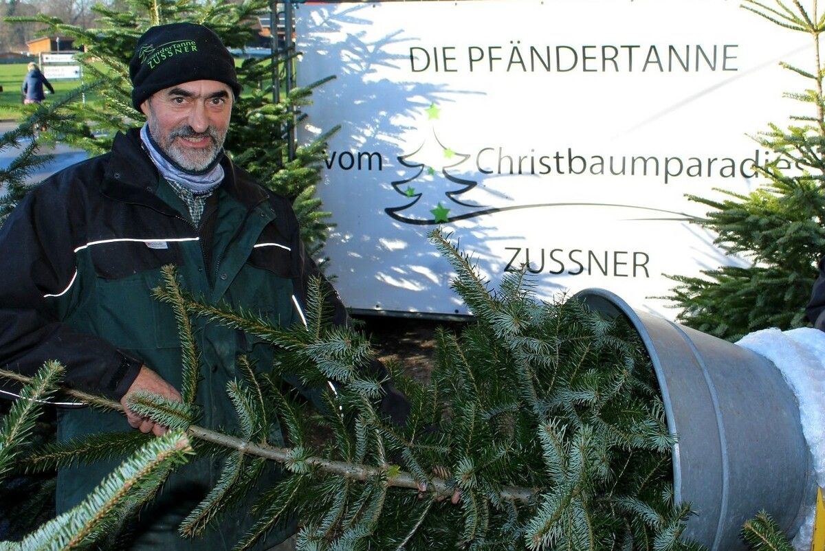 In Lochau stehen vor dem Gemeindehaus heimische Christbäume zum Verkauf.BMS