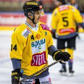 Zündel unterschreibt fix in Graz