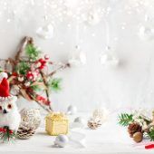 Pflanzen sorgen für Adventzauber