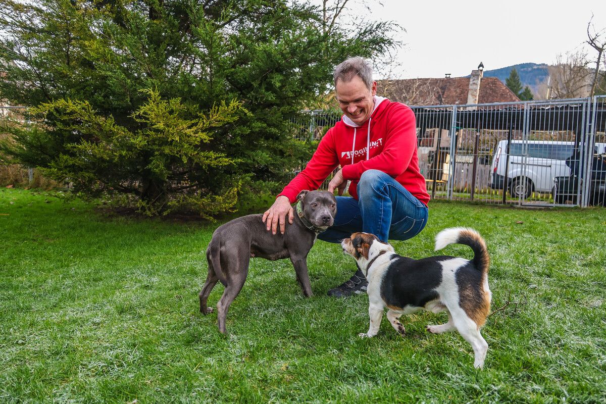 Patrick Waltenberger mit seinen zwei Hunden. VN/steurer