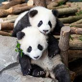 Abschied von Pit und Paule