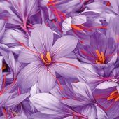 Safran als Helfer in der Menopause