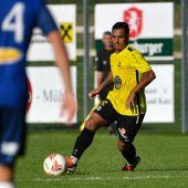 Reges Transfertreiben im Unterhaus