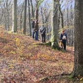 Letzte Ruhestätte unter Bäumen