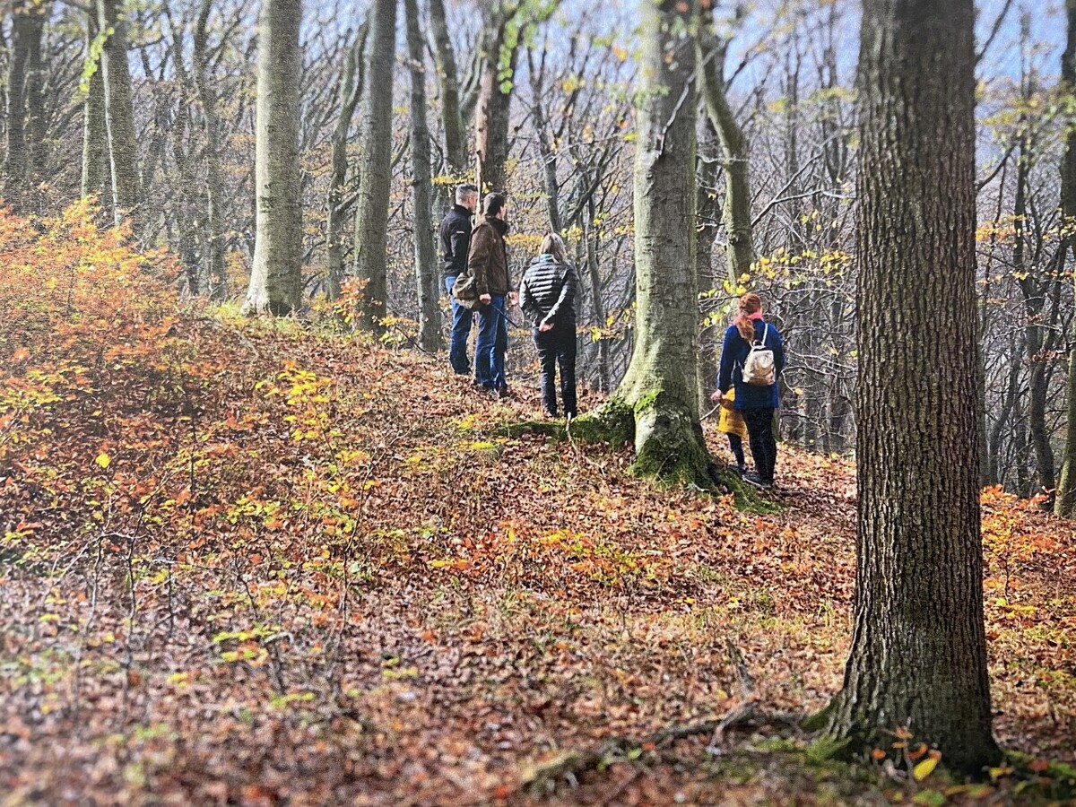Vorarlberg ist derzeit noch das einzige Bundesland ohne Waldbestattung. Klosterwald