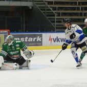 Die Wälder stehen erstmals im Play-off