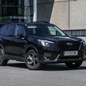 Allrounder sichert sein Terrain ab