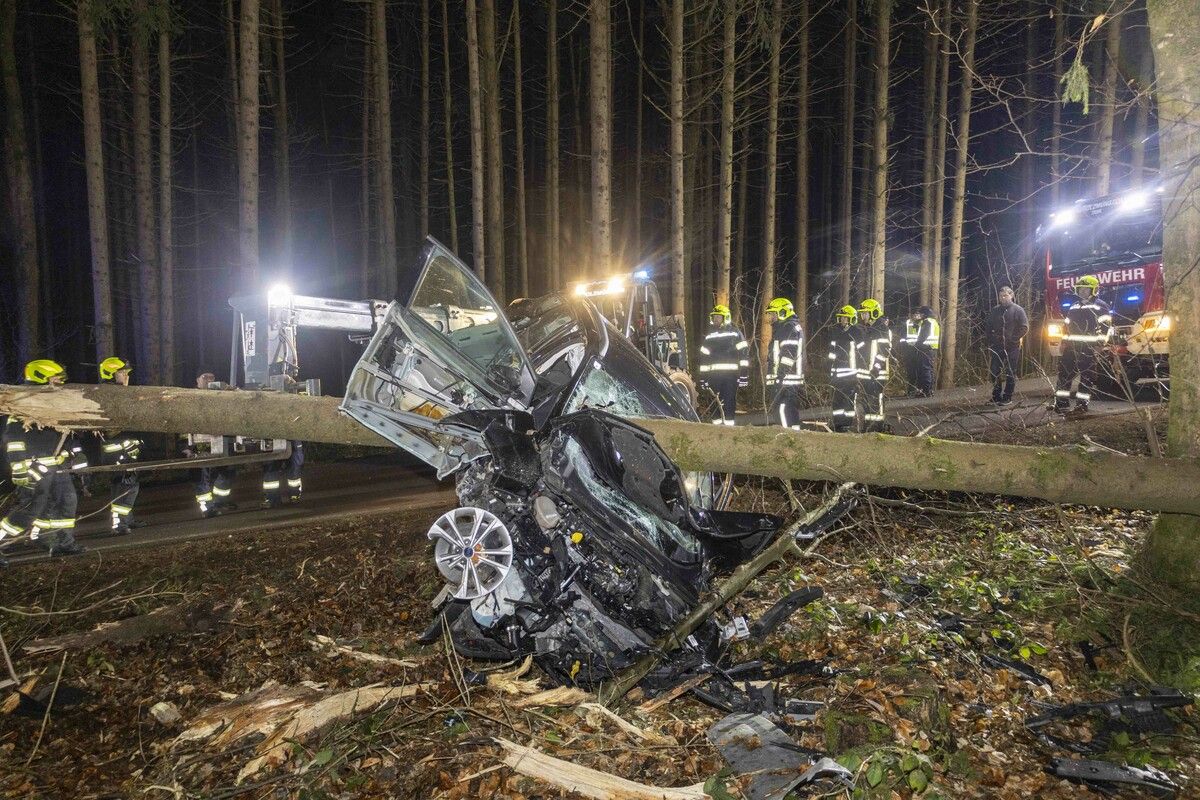 Der Baum bohrte sich durch das Auto und verfehlte die Lenkerin nur knapp.apa