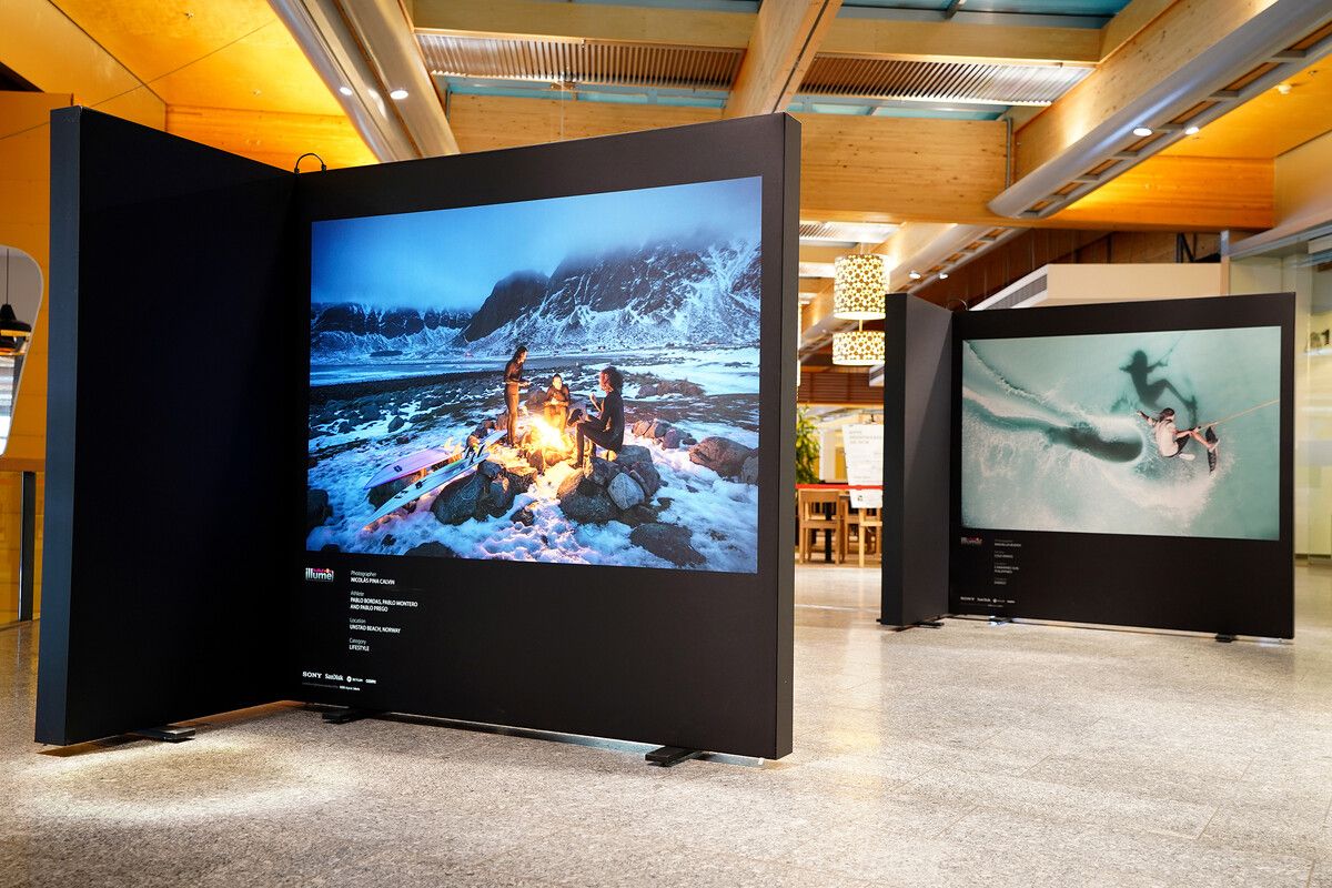 Die 50 besten Bilder werden auf zwei mal zwei Meter großen Leuchtkästen präsentiert. Die Ausstellung im Zimbapark eröffnet am 27. Jänner. Zimbapark