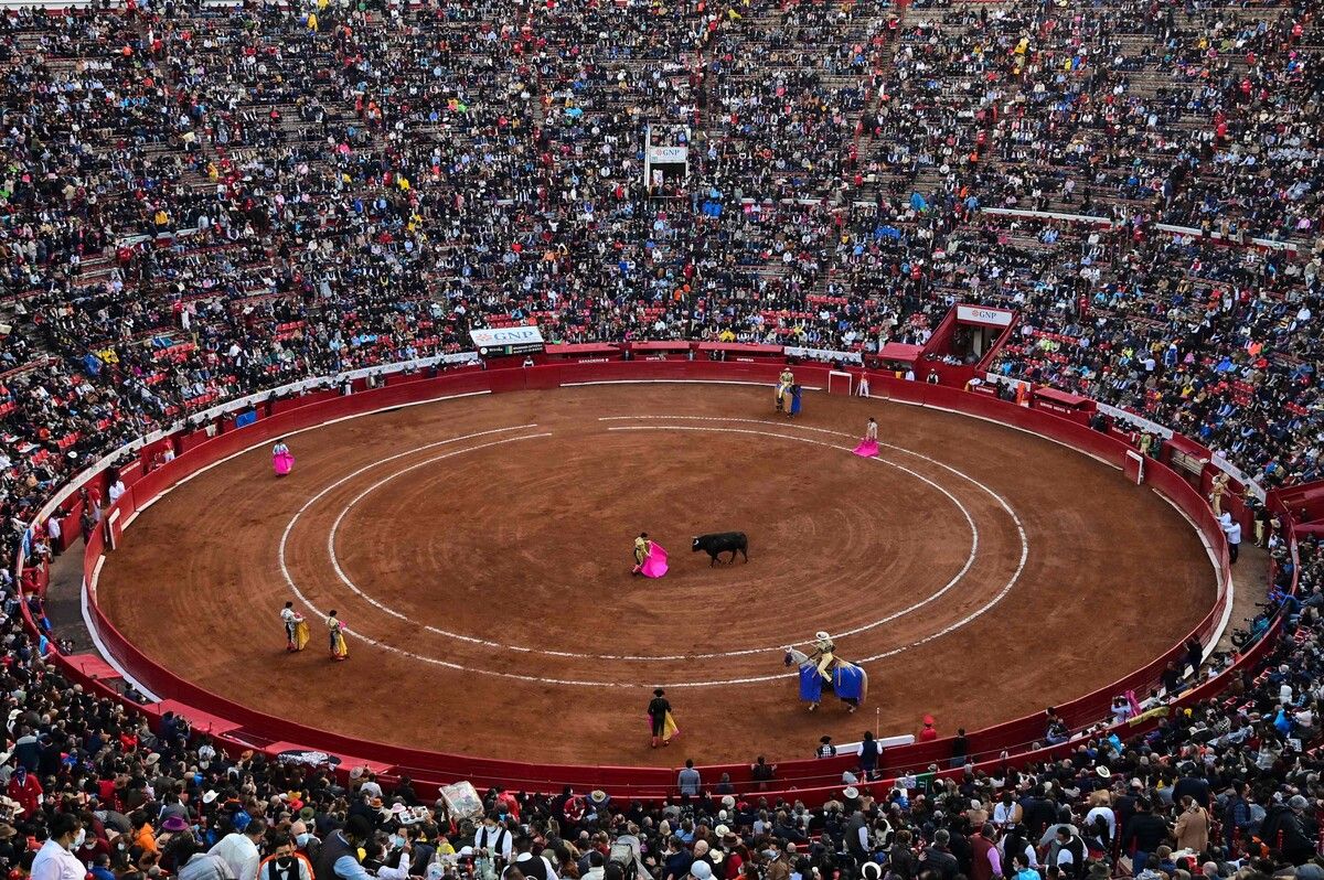 Die Plaza México hat mehr als 41.000 Sitzplätze – die weltberühmte Stierkampfarena Las Ventas in Madrid bietet hingegen nur Platz für knapp 24.000 Zuschauer. AFP