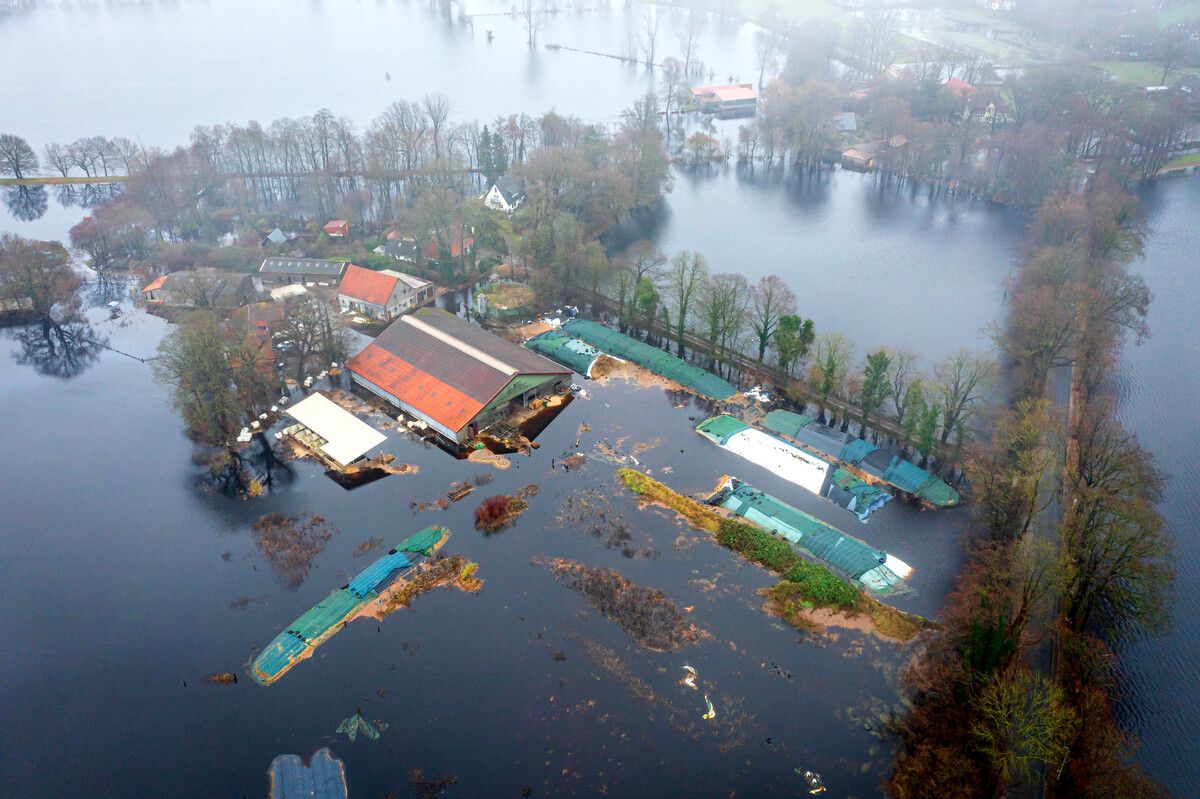 Ein Bauernhof im Bremer Stadtteil Timmersloh steht unter Wasser - und es regnet weiter.dpa