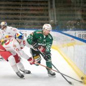 Vorarlberg gegen Salzburg um den ersten Titel