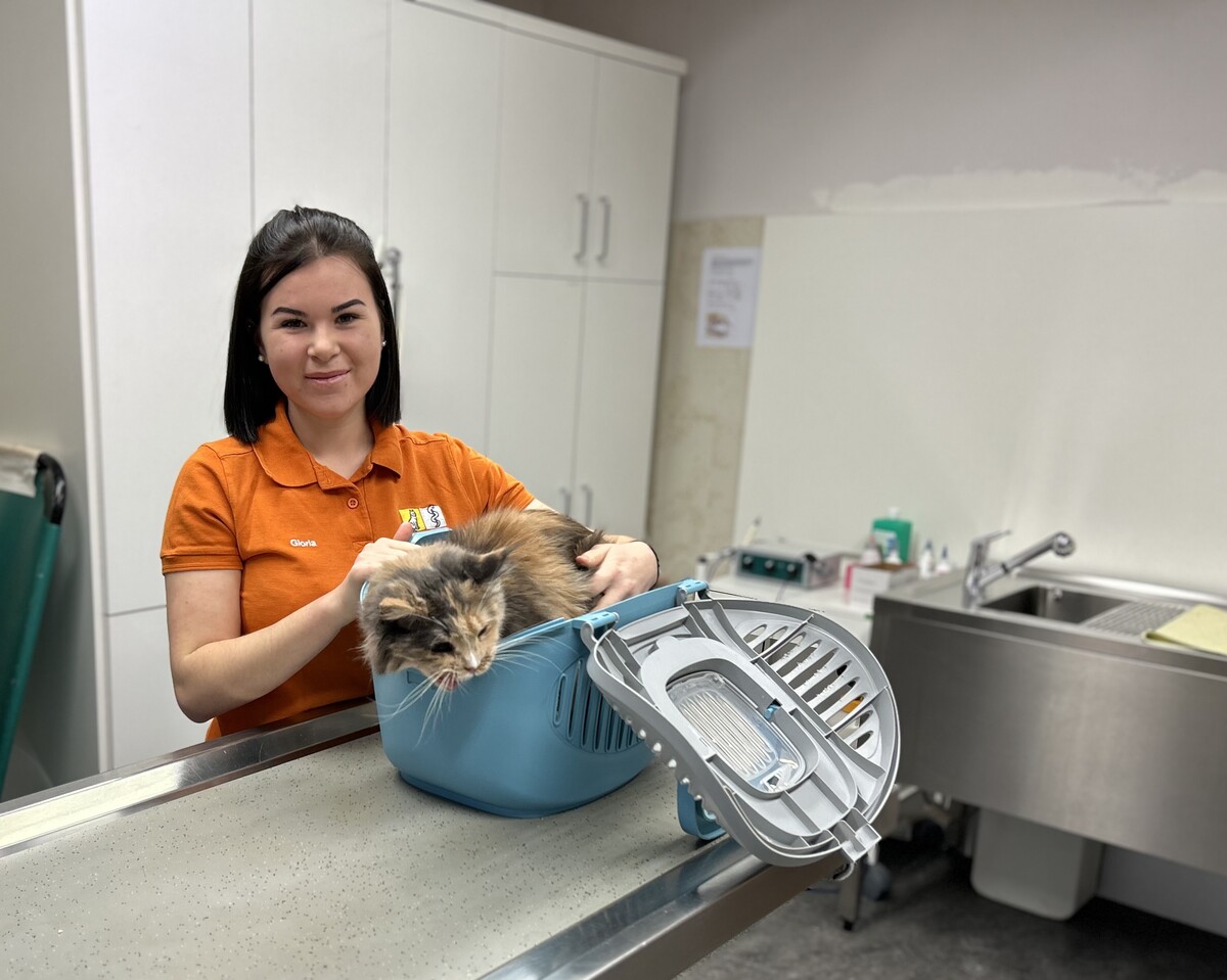 Katzenkörbe, abgeschirmt durch Decken, bieten einen sicheren Platz für gestresste Samtpfoten. VN/MAIER (2)
