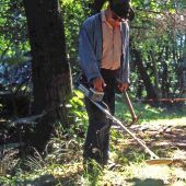 Wildkamera lässt illegale Raubgräber auffliegen