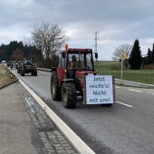 Wunsch nach Vorarlberger Verhältnissen