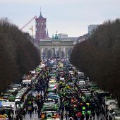 Bilder des Tages