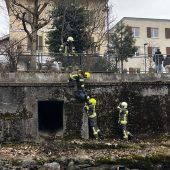 Erst gejagt, dann gefangen: Laufente Susi musste aus der Litz gerettet werden