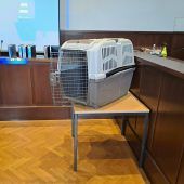 Prozess um Kind in Hundebox:  20 und 14 Jahre Haft