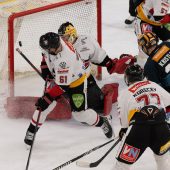 Pioneers jubeln trotz Niederlage