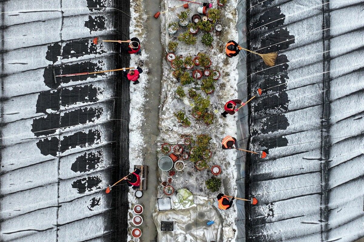 Arbeiter räumen Schnee von Gewächshäusern in Huai‘an in der ostchinesischen Provinz Jiangsu. AFP